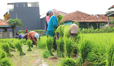 Yayasan Insan Anugrah Indonesia