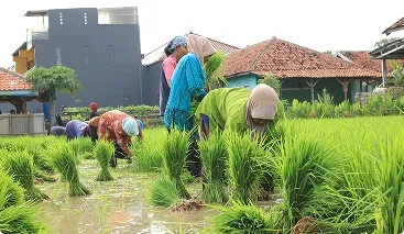Yayasan Insan Anugrah Indonesia